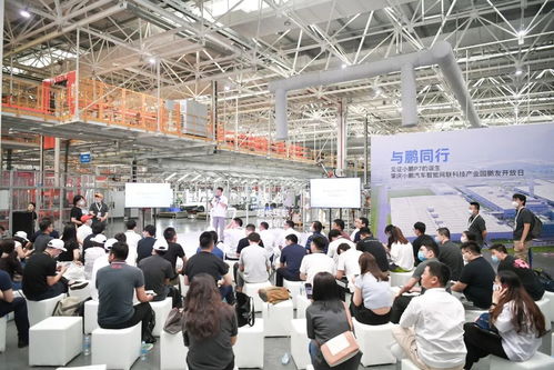 小鹏汽车销量低迷与技术争议 双重挑战下的突围之路